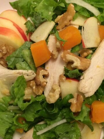grilled chicken salad with apple slices