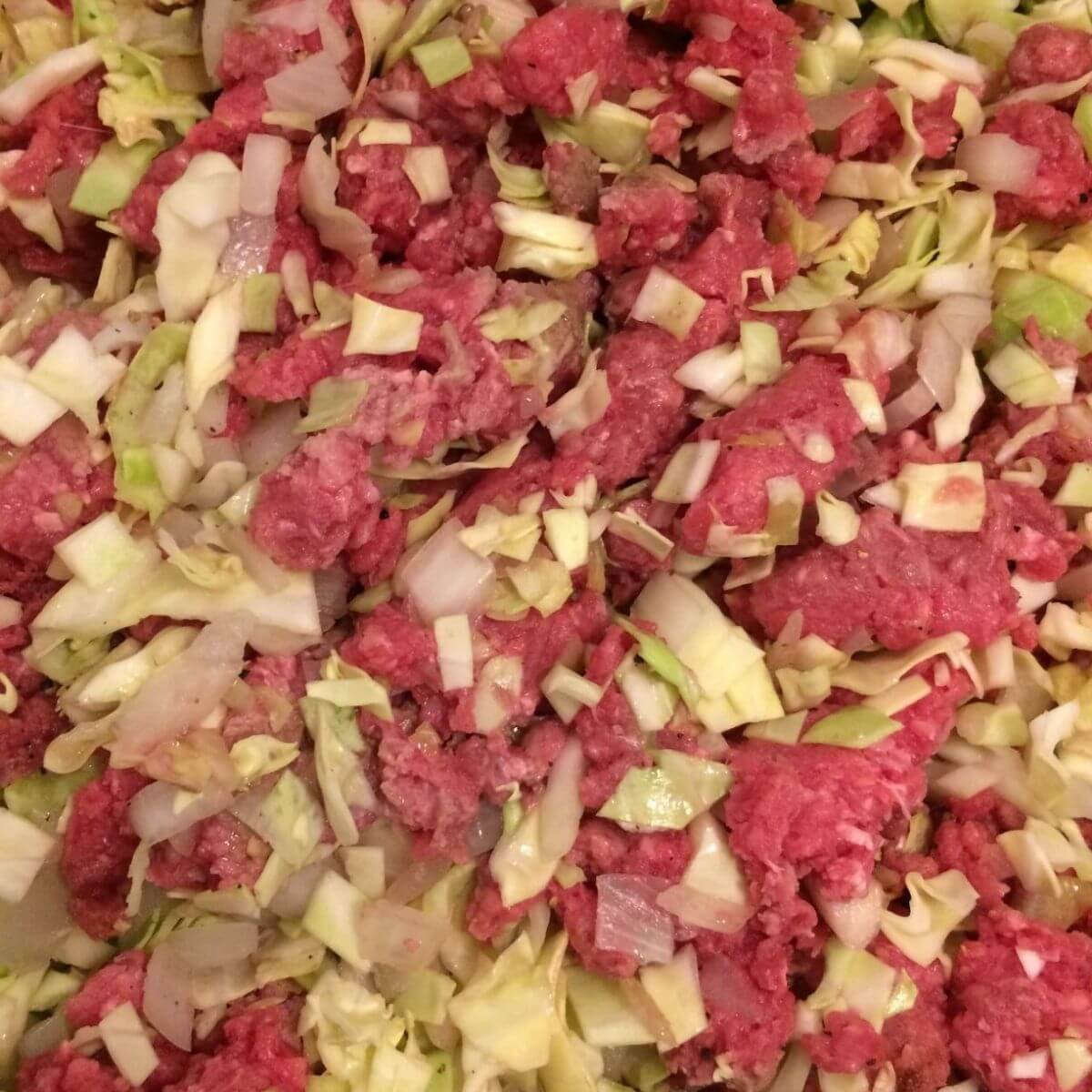 kraut burger filling before cooking up close