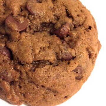 A single double chocolate chip cookie baked close up image