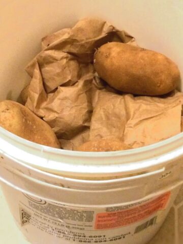 russet potatoes in a 2 gallon recycled bucket with brown paper inside for padding