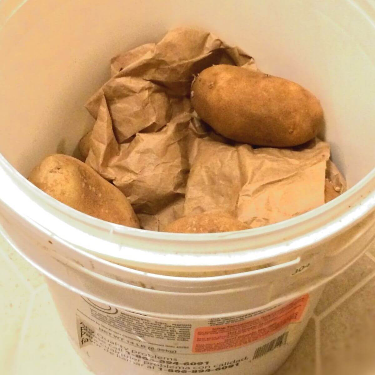 russet potatoes in a 5 gallon recycled bucket with brown paper inside for padding