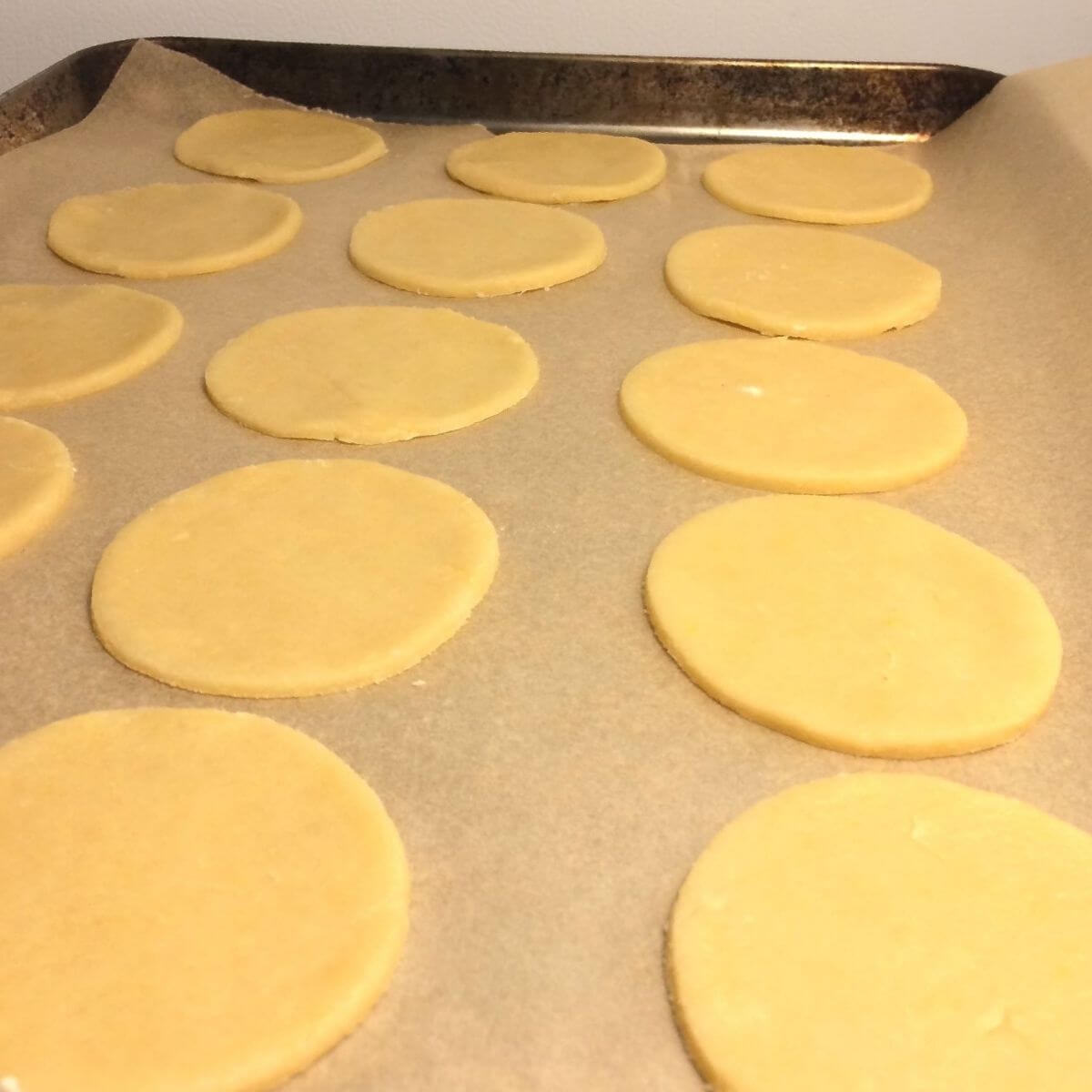 3 rows of 5 round cookie cutouts on parchent paper and a cookie sheet close up view