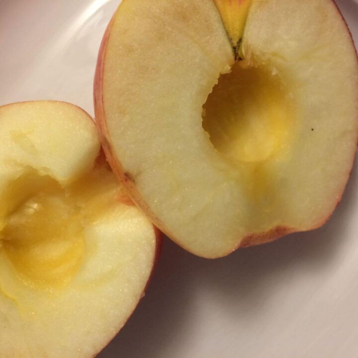 apple cut open on white plate.