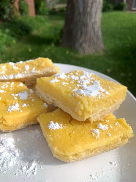 4 lemon bars cut into squares with powdered sugar dusted on top on a white plate outside with grass and tree blurred in the background